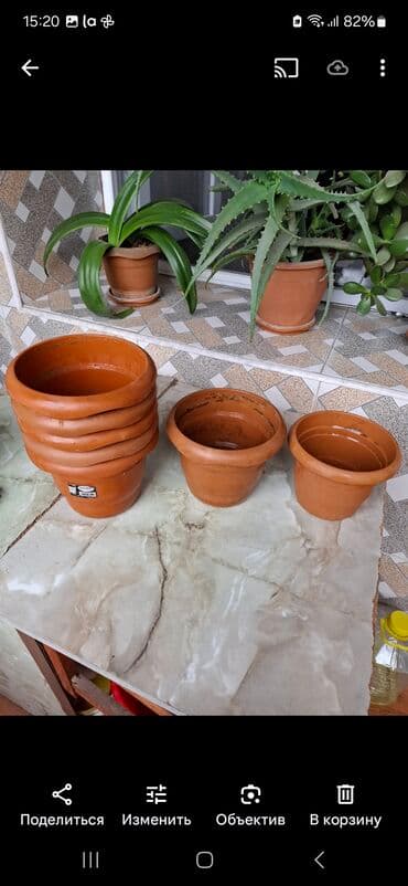 Gul dipcekleri teze kimidi 6 eded biri 2 azn lalafo.az -da Gul dipcekleri teze kimidi 6 eded biri 2 azn