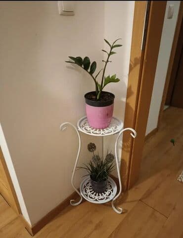 Yenidir
Hündürlüyü 60 sm
Ünvan Xırdalan lalafo.az -da Yenidir
Hündürlüyü 60 sm
Ünvan Xırdalan