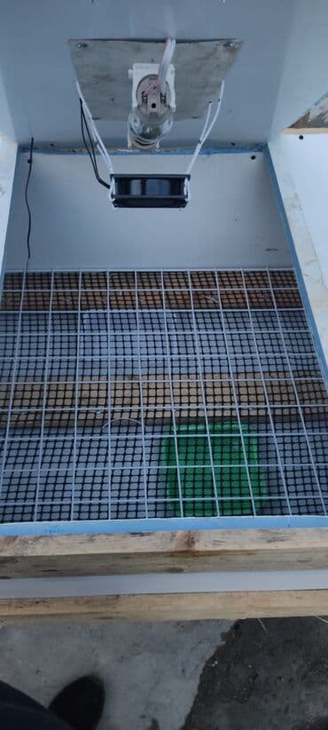 Экстракторы масла: Inkubator yarı aftamat
qiymət:130 AZN
ISTƏYƏ GÖRƏ DƏ YIĞILIR at lalafo.az — 3 Экстракторы масла: Inkubator yarı aftamat
qiymət:130 AZN
ISTƏYƏ GÖRƏ DƏ YIĞILIR — 3