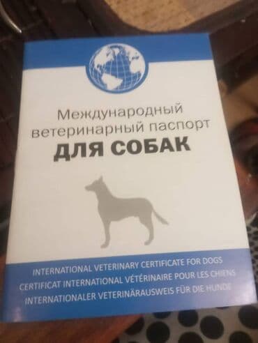 Itler ucun pasportlar
Паспорта для собак lalafo.az -da Itler ucun pasportlar
Паспорта для собак