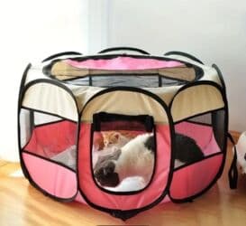 Salam. Bala pişiklər üçün almışdım cəmi 1 dəfə istifadə etmişəm lalafo.az -da Salam. Bala pişiklər üçün almışdım cəmi 1 dəfə istifadə etmişəm