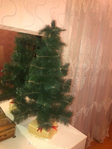 Şam agaci yolka.catdirilma yoxdu unvan masazir.80 sm lalafo.az -da Şam agaci yolka.catdirilma yoxdu unvan masazir.80 sm