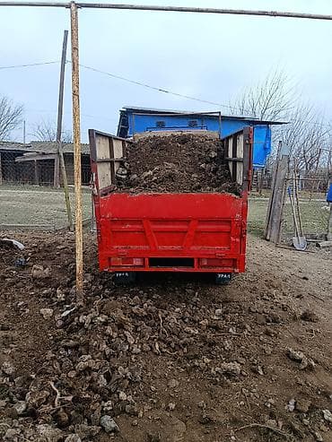 Xidmət: Heyvan peyininin yük maşını ilə gətirilib boşaldılması lalafo.az -da Xidmət: Heyvan peyininin yük maşını ilə gətirilib boşaldılması