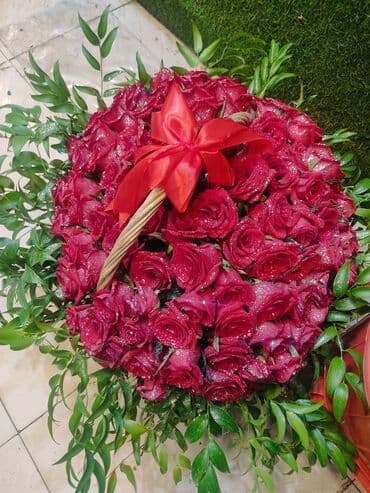 🔴 51 Qızılgul səbəti - 65₼
🌐 Ün. Əcəmi m yaxınlığı lalafo.az -da 🔴 51 Qızılgul səbəti - 65₼
🌐 Ün. Əcəmi m yaxınlığı