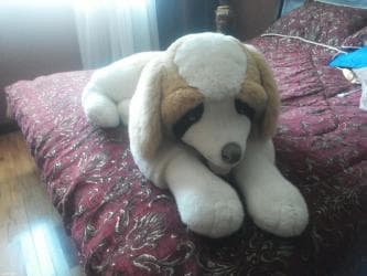 Yaxsi vezyetdedir 30azn lalafo.az -da Yaxsi vezyetdedir 30azn