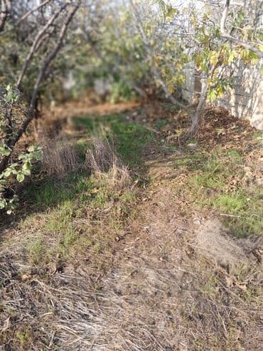 3 sot, Tikinti, Mülkiyyətçi, Kupça (Çıxarış) lalafo.az -da 3 sot, Tikinti, Mülkiyyətçi, Kupça (Çıxarış)