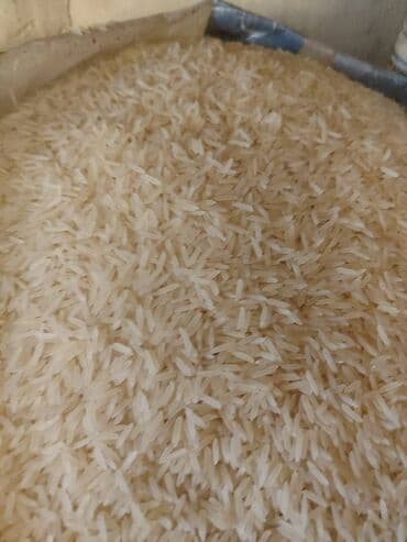 Ləpələr: Qovrulmuş və çiy,ağ və qara semiçkalar çəki ilə satılır. Sifariş lalafo.az -da — 6 Ləpələr: Qovrulmuş və çiy,ağ və qara semiçkalar çəki ilə satılır. Sifariş — 6