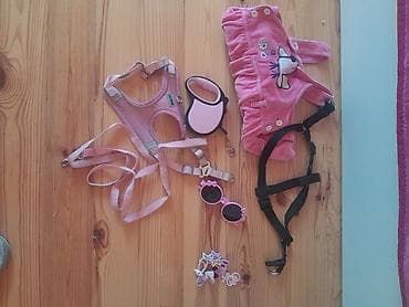 İt üçün aksesuar dəsti tasmalar M razmerdi yeni kimidi. 1 eded don.2 lalafo.az -da İt üçün aksesuar dəsti tasmalar M razmerdi yeni kimidi. 1 eded don.2