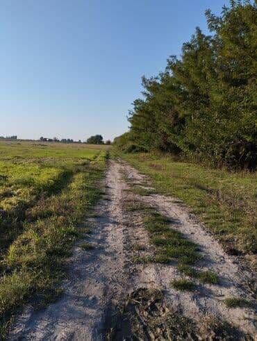 9 sot, Kənd təsərrüfatı, Mülkiyyətçi, Kupça (Çıxarış) lalafo.az -da 9 sot, Kənd təsərrüfatı, Mülkiyyətçi, Kupça (Çıxarış)