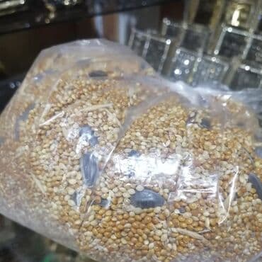 Quş yemləri Qırmızı darı topdan 1azn Pərakəndə 1,50azn Valnisti yemi lalafo.az -da Quş yemləri Qırmızı darı topdan 1azn Pərakəndə 1,50azn Valnisti yemi