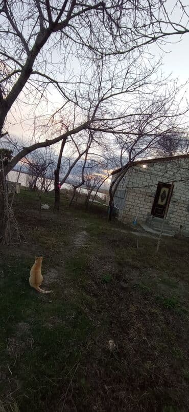 9 sot, Tikinti, Mülkiyyətçi, Kupça (Çıxarış) lalafo.az -da 9 sot, Tikinti, Mülkiyyətçi, Kupça (Çıxarış)