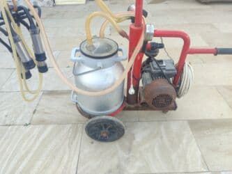 ПО для бизнеса: Одиночный бидон, Нержавеющий бидон at lalafo.az — 4 ПО для бизнеса: Одиночный бидон, Нержавеющий бидон — 4