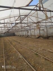 Теплицы: İstixana konstruksiyası və dam örtüyü - Metal karkaslı istixana at lalafo.az — 2 Теплицы: İstixana konstruksiyası və dam örtüyü - Metal karkaslı istixana — 2