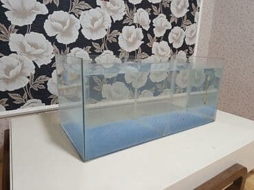 Dördbucaq akvarium, Boş, 88 l, Ödənişli çatdırılma lalafo.az -da Dördbucaq akvarium, Boş, 88 l, Ödənişli çatdırılma