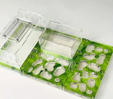 Qarışqa ferması. Муровьиная ферма. Ünvan 9cu mikrorayon. Ən yaxın lalafo.az -da Qarışqa ferması. Муровьиная ферма. Ünvan 9cu mikrorayon. Ən yaxın