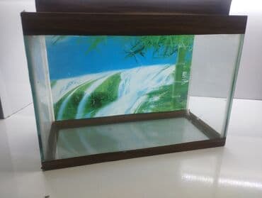 Dördbucaq akvarium, Boş, 1 l, Ünvandan götürmə lalafo.az -da Dördbucaq akvarium, Boş, 1 l, Ünvandan götürmə