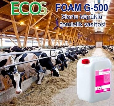 Yuyucu vasitələr: ECOS FOAM G-500 – xlorlu köpüklü təmizlik vasitəsi Təsvir: - Ferma lalafo.az -da — 1 Yuyucu vasitələr: ECOS FOAM G-500 – xlorlu köpüklü təmizlik vasitəsi Təsvir: - Ferma — 1