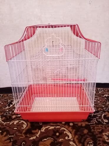 Tutuquşu qəfəsi satılır böyük qəfəsdi 1 aydı alınıb təzə kimidi lalafo.az -da Tutuquşu qəfəsi satılır böyük qəfəsdi 1 aydı alınıb təzə kimidi