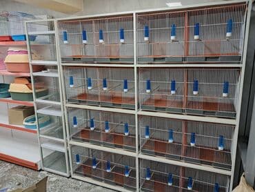 ПО для бизнеса: 225 * 115 * 50, Белый, Б/у, Самовывоз at lalafo.az — 3 ПО для бизнеса: 225 * 115 * 50, Белый, Б/у, Самовывоз — 3