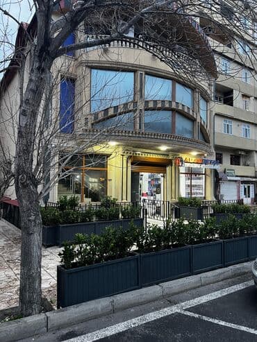 Taxtalar ile ve, restoran, ofis, otel ve s. Məkanlarınızın müasir və lalafo.az -da Taxtalar ile ve, restoran, ofis, otel ve s. Məkanlarınızın müasir və