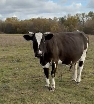 18 20 litr sudu var teze dogub balayla isteyen olsa ferqi qiymet lalafo.az -da 18 20 litr sudu var teze dogub balayla isteyen olsa ferqi qiymet