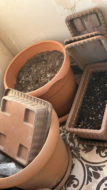 13 eded haısə birgə Bağçılıq üçün plastik dibçəklər və yeşiklər dəsti lalafo.az -da 13 eded haısə birgə Bağçılıq üçün plastik dibçəklər və yeşiklər dəsti