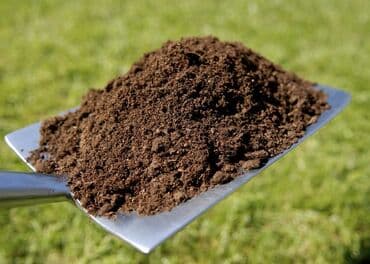 Mal peyini. Kisə ilə satış. Kisəsi 3 azn. Satış məntəqəmiz Şüvəlanda lalafo.az -da Mal peyini. Kisə ilə satış. Kisəsi 3 azn. Satış məntəqəmiz Şüvəlanda