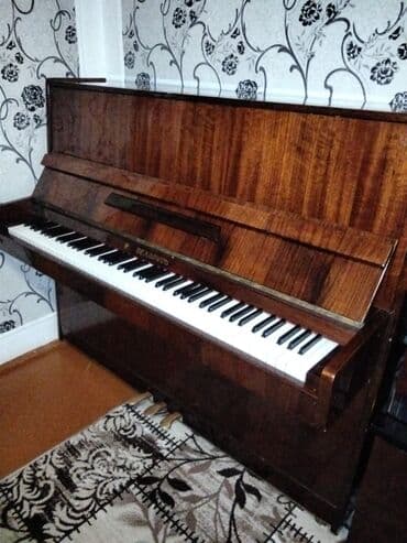 Piano (Belarus)
Razılaşma yolu ilə
Köhlənib Sazlanınb. Çiçək kimi lalafo.az -da Piano (Belarus)
Razılaşma yolu ilə
Köhlənib Sazlanınb. Çiçək kimi