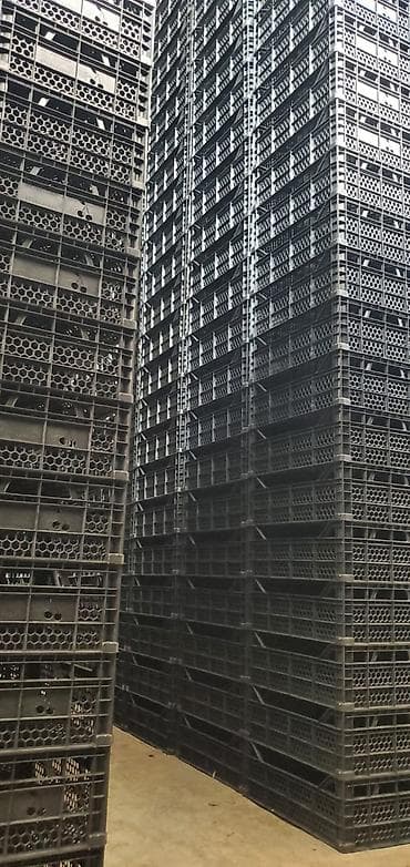 Plastik anbar və logistika yeşikləri - Material: yüksək möhkəmlikli lalafo.az -da Plastik anbar və logistika yeşikləri - Material: yüksək möhkəmlikli