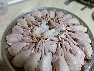 Məhsul: Bildirçin məhsulları Təsvir: - Təmizlənmiş, dərisi soyulmuş lalafo.az -da — 1 Məhsul: Bildirçin məhsulları Təsvir: - Təmizlənmiş, dərisi soyulmuş — 1