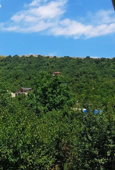 65 sot, Kənd təsərrüfatı, Mülkiyyətçi, Bələdiyyə lalafo.az -da 65 sot, Kənd təsərrüfatı, Mülkiyyətçi, Bələdiyyə