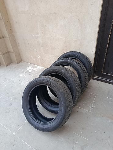 İşlənmiş Şin Petlas 195 / 55 / R 16 lalafo.az -da İşlənmiş Şin Petlas 195 / 55 / R 16
