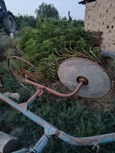 Tecili satilir lalafo.az -da Tecili satilir