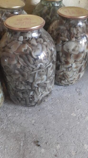 Məhsul: Evdə hazırlanmış konservləşdirilmiş göbələklər Təsvir: - Şüşə lalafo.az -da Məhsul: Evdə hazırlanmış konservləşdirilmiş göbələklər Təsvir: - Şüşə