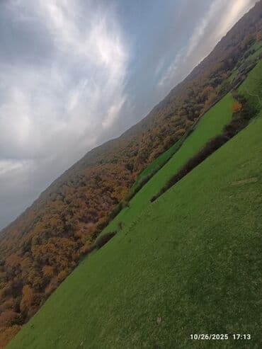 Kənd təsərrüfatı lalafo.az -da Kənd təsərrüfatı