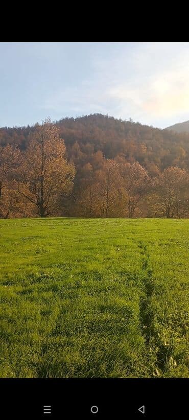 Гаражи: 24 соток, Для строительства, Собственник, Бялядия (муниципалитет) at lalafo.az — 1 Гаражи: 24 соток, Для строительства, Собственник, Бялядия (муниципалитет) — 1