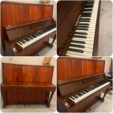 Belarus pioninosu 200 azn.Tam sağlamdı.Unvan Saray(Gülü) lalafo.az -da Belarus pioninosu 200 azn.Tam sağlamdı.Unvan Saray(Gülü)