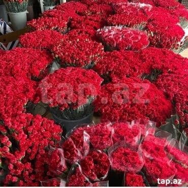 Букетные цветы: Qərənfil gülünün topdan və pərakəndə satışı mövcuddur öz isti at lalafo.az — 3 Букетные цветы: Qərənfil gülünün topdan və pərakəndə satışı mövcuddur öz isti — 3