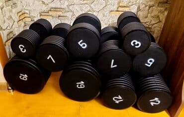 Qantellər, Çəki: 6 kq lalafo.az -da Qantellər, Çəki: 6 kq