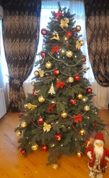 Yolka yenidir. 2.20 hundurlukdedi. Oyuncaqlari ile birge satilir lalafo.az -da Yolka yenidir. 2.20 hundurlukdedi. Oyuncaqlari ile birge satilir