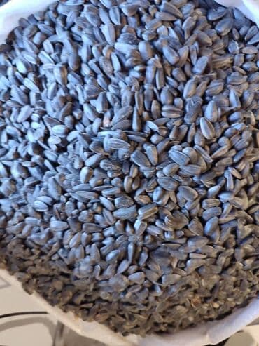 Ləpələr: Qovrulmuş və çiy,ağ və qara semiçkalar çəki ilə satılır. Sifariş lalafo.az -da — 10 Ləpələr: Qovrulmuş və çiy,ağ və qara semiçkalar çəki ilə satılır. Sifariş — 10