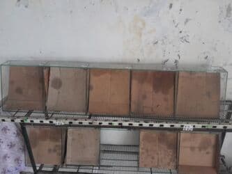 ПО для бизнеса: 30 * 1500 * 30, Б/у, Самовывоз at lalafo.az — 3 ПО для бизнеса: 30 * 1500 * 30, Б/у, Самовывоз — 3