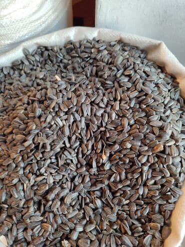 Ləpələr: Qovrulmuş və çiy,ağ və qara semiçkalar çəki ilə satılır. Sifariş lalafo.az -da — 9 Ləpələr: Qovrulmuş və çiy,ağ və qara semiçkalar çəki ilə satılır. Sifariş — 9