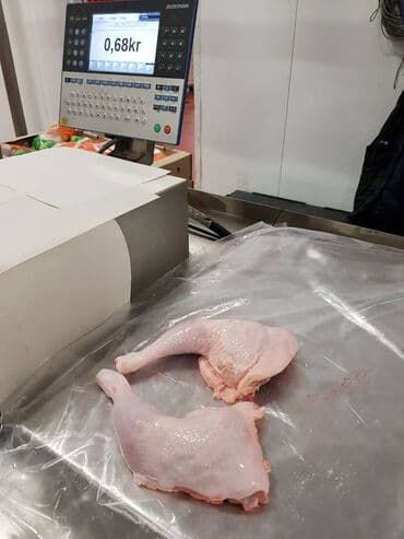 Рыба и морепродукты: Toyug BroylerKend ToyuguToyug Mehsullari Belarusiyadan,Ukraynadan at lalafo.az — 3 Рыба и морепродукты: Toyug BroylerKend ToyuguToyug Mehsullari Belarusiyadan,Ukraynadan — 3