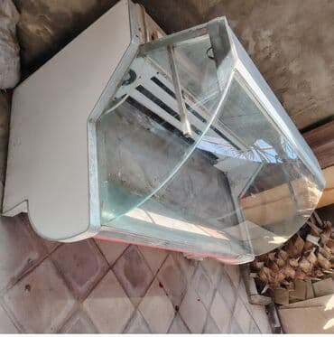 Vitrin soyuducu xaladelnik atılır 350 m. İsləkdi,yaxşı vəziyyətdədi lalafo.az -da Vitrin soyuducu xaladelnik atılır 350 m. İsləkdi,yaxşı vəziyyətdədi