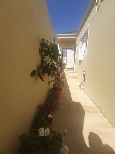 Binəqədi qəs. 2 otaqlı, 50 kv. m, Kredit yoxdur, Yeni təmirli lalafo.az -da Binəqədi qəs. 2 otaqlı, 50 kv. m, Kredit yoxdur, Yeni təmirli