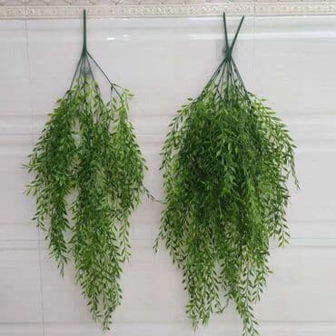Süni asma yaşıl bitki bəzəyi - Material: yüksək keyfiyyətli plastik lalafo.az -da Süni asma yaşıl bitki bəzəyi - Material: yüksək keyfiyyətli plastik