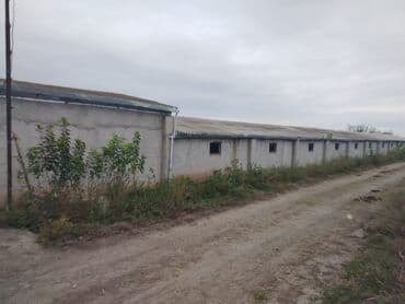 Ferma təsərrüfatı üçün hazır obyekt - Geniş torpaq sahəsi və açıq lalafo.az -da — 7 Ferma təsərrüfatı üçün hazır obyekt - Geniş torpaq sahəsi və açıq — 7