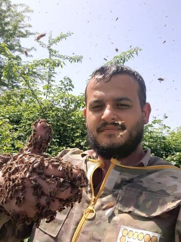 100% qarantiya verilir təbii olduğuna! . 100% Təbii Bal zəmanət lalafo.az -da 100% qarantiya verilir təbii olduğuna! . 100% Təbii Bal zəmanət