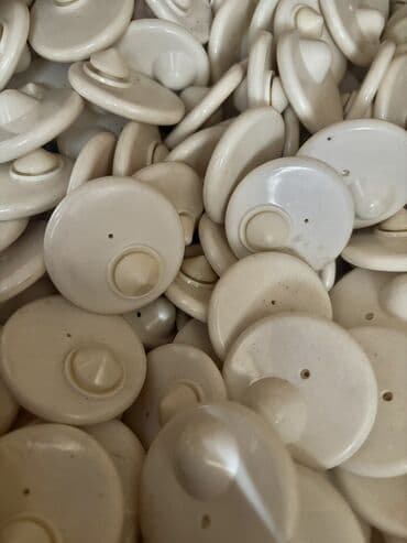 Məhsul: Plastik təhlükəsizlik etiketləri (paltar mağazaları üçün) at lalafo.az — 1 Məhsul: Plastik təhlükəsizlik etiketləri (paltar mağazaları üçün) — 1